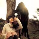 천둥목장 이미지