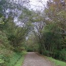 진스피닝 이미지