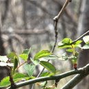 성동도로사업소(기전과) | 봄이 오는 서울숲 나들이 곤충식물원부터 한강까지