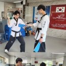 경희대 품희 태권도장 이미지