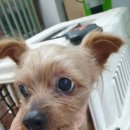 태평4동 이미지