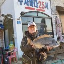 추자바다25시 이미지