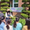 도평초등학교 이미지