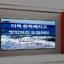 따봉코리아(주) 네이버블로그