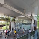 세븐일레븐 신안스마일점 | [태국 여행 #7] 후아힌에서 방콕 수완나품공항 가기 (벨트래블 버스 온라인 예매, RRC 버스터미널, 공항...