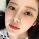 아틱폭스