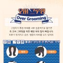 우리그루밍 이미지