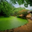 자연의 소리 이미지