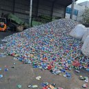 코카갤러리 이미지