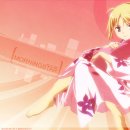 페이트(fate) 이미지