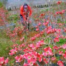 귀거래가든 이미지