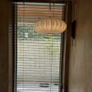 하하스테이 이미지