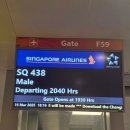 438 | 싱가포르 항공 싱가폴- 몰디브 SQ 438 이코노미석 좌석 및 기내식 후기 허니문 케이크까지