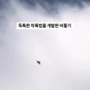 어디서 이상한거 배워온 비둘기 .gif 이미지