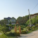 나문재관광농원 이미지