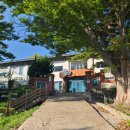 석병초등학교 이미지