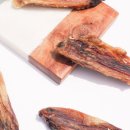 댕댕이푸드 이미지