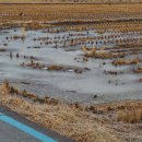 사목1리 이미지