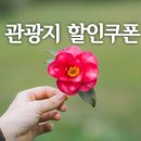 대수길 이미지
