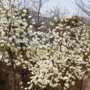 개화역1번출구 이미지