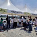 마실 이미지