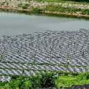 수1 태양광발전소 이미지