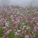 남동종합문화체육광장(3호)2 이미지