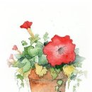 파주장애인자립생활센터 이미지