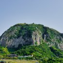 제주 산방산 암벽식물지대 | 제주 산방산 암벽 식물지대