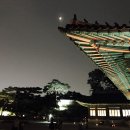 달빛의 대화 이미지