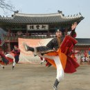 수원-1790 이미지