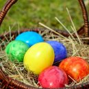 부산행정사무소 이미지