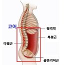 샵코어 네이버블로그