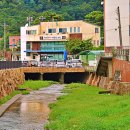 우산생태숲 이미지