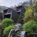 포레스트리솜 이미지