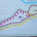 진북편백골관광농원캠핑장 이미지