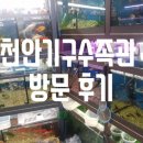 천안기구수족관