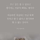 삼부쇼핑 이미지