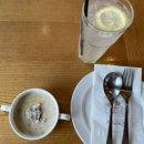 포 쿠치나 | 에버랜드 점심식사 쿠치나마리오 후기(feat.포시즌스가든,타이거밸리)