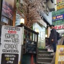 가비빈 이미지