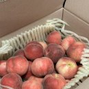 명한농장 이미지