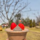 디저트39논산 | 26년 3월 논산.평택 2박3일 여행 Day 2 (feat. 2026 논산딸기축제)