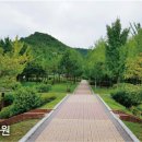 북초등학교(병설유치원포함) 이미지