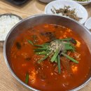 속초오징어짬뽕 | 속초 동화가든 짬뽕순두부 오징어순대 맛집 웨이팅 정보