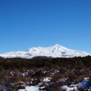 8월10일~13일(3박4일) Winter Tongariro Tramping 이미지