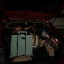 A27 | [평택캠핑] 평택 진위천캠핑장 A27 사이트 후기