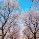 병성천2길 이미지