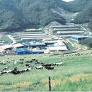 일선축산 이미지