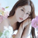 댕댕나비 이미지