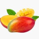 애플망고 이미지